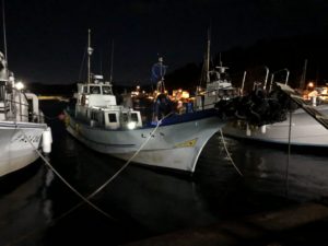 伊豆下田フィッシング　七島丸　鵜渡根島