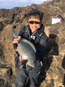 神子元　尾長グレ